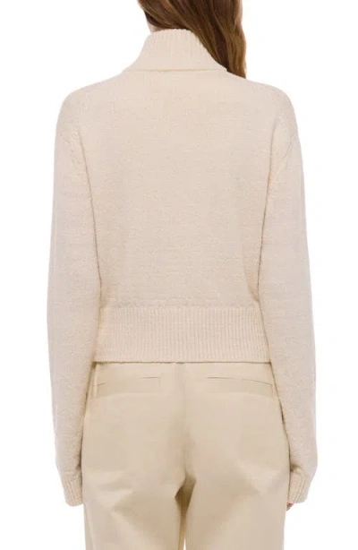 Helmut Lang Turtleneck Sweater In Multi