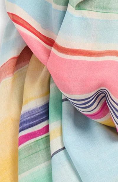 Echo Painted Stripe Scarf In Multi
