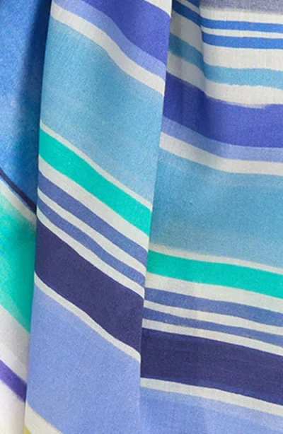 Echo Painted Stripe Scarf In Brown