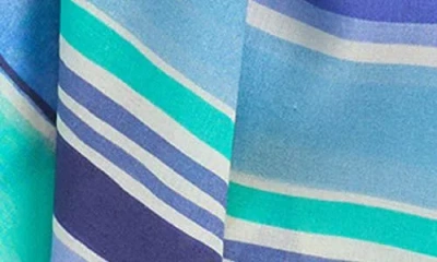 Echo Painted Stripe Scarf In Brown