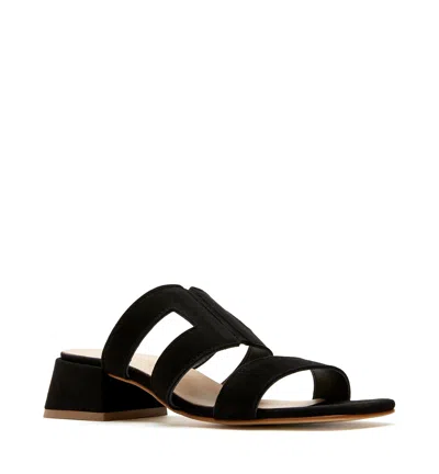 La Canadienne Fifi In Black