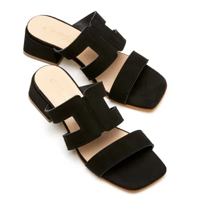 La Canadienne Fifi In Black