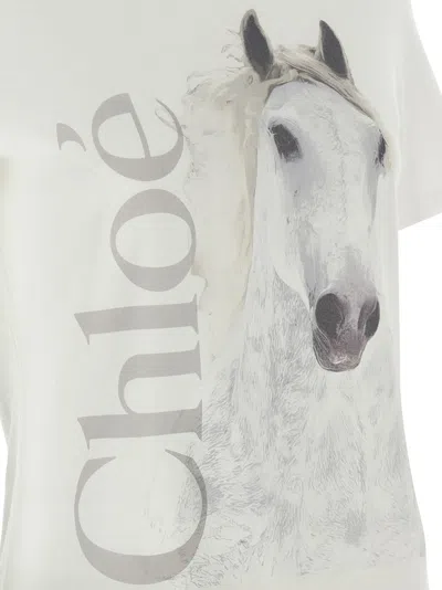 Chloé Cotton Crew Neck Graphic Short Sleeve T-shirt In White
