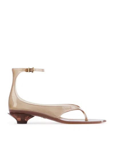Chloé Jelly Brown Sandals With Logo Imprinted On The Side And Ankle Buckle Closure In Tpu Woman In Neutral