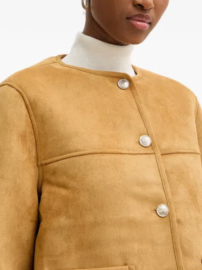 Morgan Button-fastening Jacket In Brown