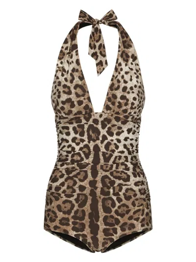 Dolce & Gabbana Women Leopard Printed Sensitive Fabric One-piece Swimsuit In Brown