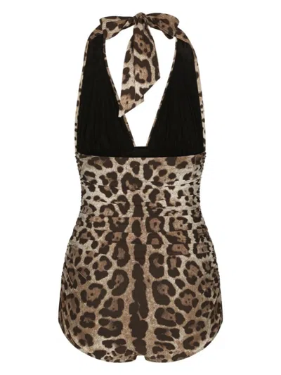 Dolce & Gabbana Women Leopard Printed Sensitive Fabric One-piece Swimsuit In Brown