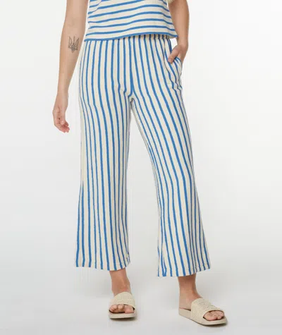 Roxy Java Stripe Cropped Pant In Blue