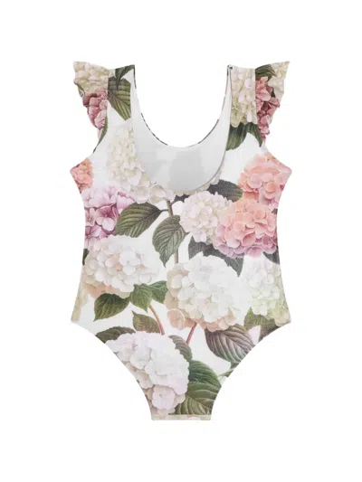Dolce & Gabbana Hydrangea-print One-piece Swimsuit In Multi