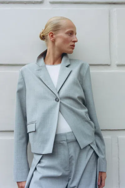 St Agni Cocoon Blazer In Gray