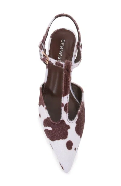 Berness T-strap Kitten Heel Pump In Multi