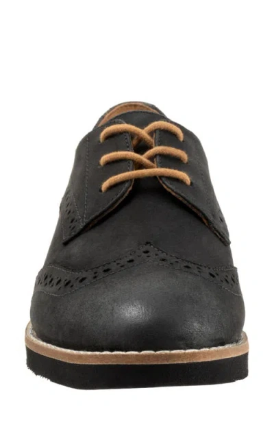 Softwalk Extra Wide Width Willet Oxford In Black