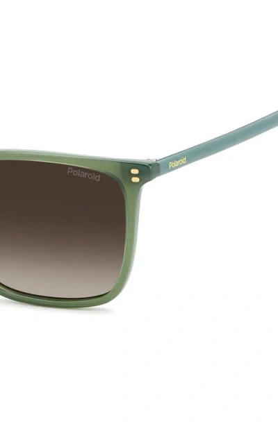 Polaroid 55mm Polarized Rectangular Sunglasses In Green