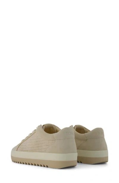 Toms Rea Platform Sneaker In Multi