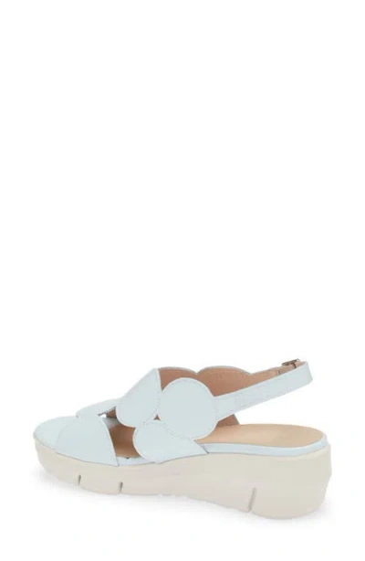 Wonders Platform Sandal In Blue