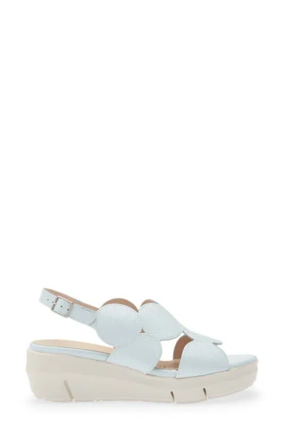 Wonders Platform Sandal In Blue