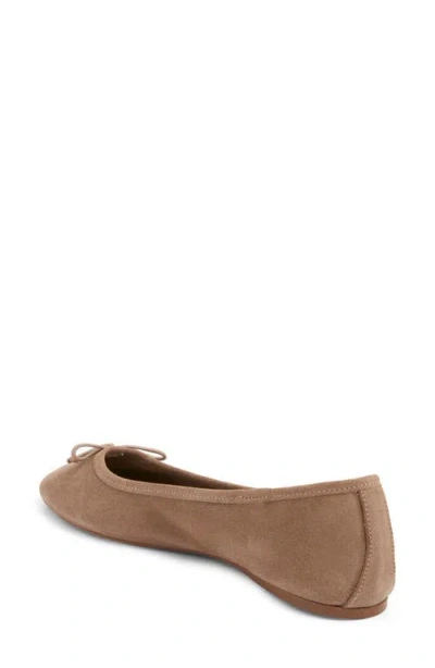 Mango Bow Round Toe Ballet Flat In Brown