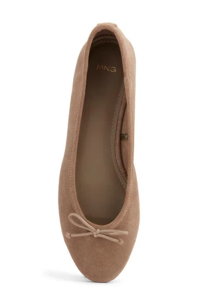 Mango Bow Round Toe Ballet Flat In Brown