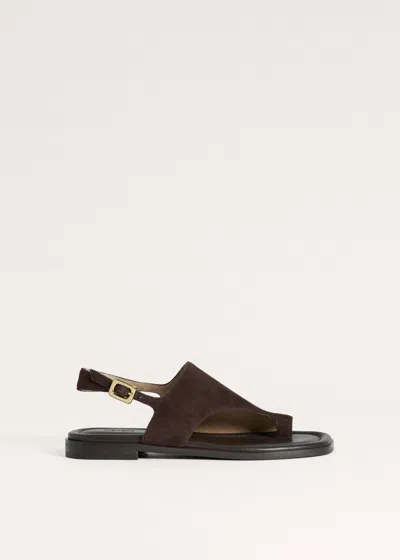 Me+em Asymmetric Toe Loop Sandal Chocolate In Brown