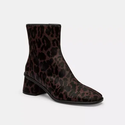 Coach Leopard-print Ankle Boots In Animal Print