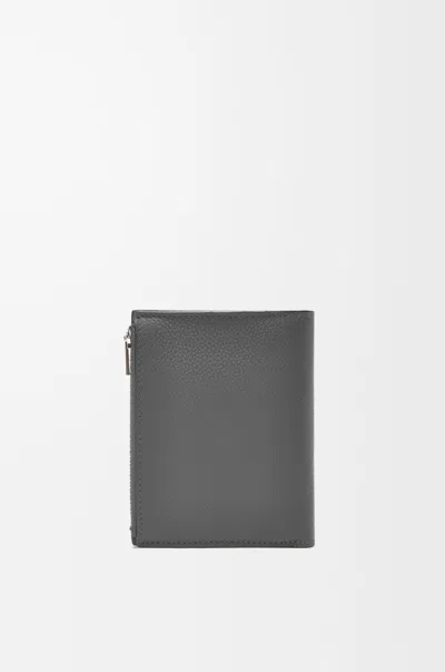 Loewe Pattern Wallet In Gray