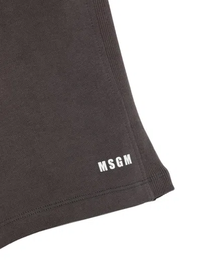 Msgm Logo Shorts In Brown