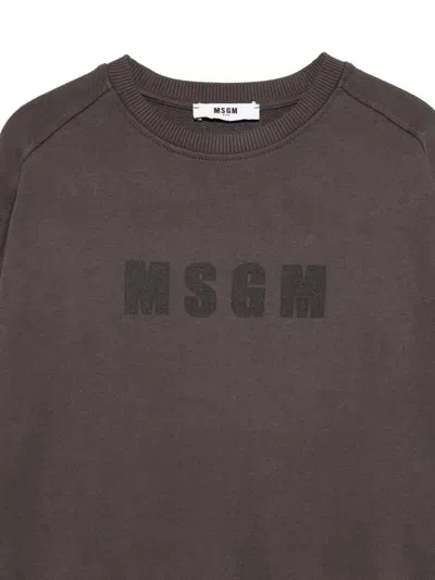 Msgm Logo-detail Sweatshirt In Brown