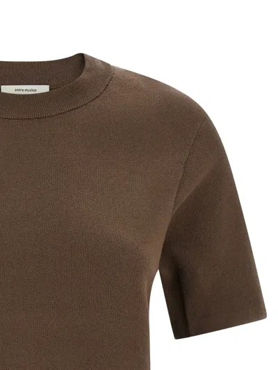Entire Studios Mercerized Crew Neck T-shirt In Brown