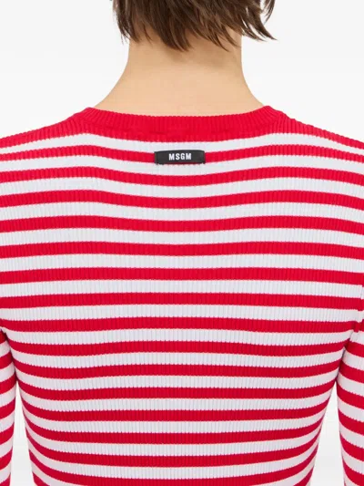 Msgm Striped Ruffled Knitwear In Multi