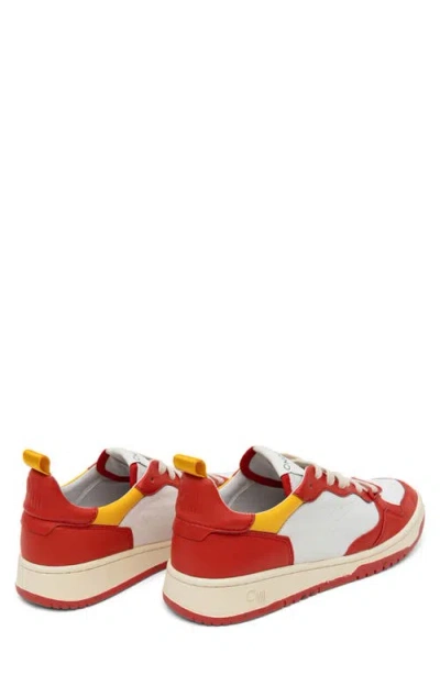 Oncept Phoenix Low Top Sneaker In Multi