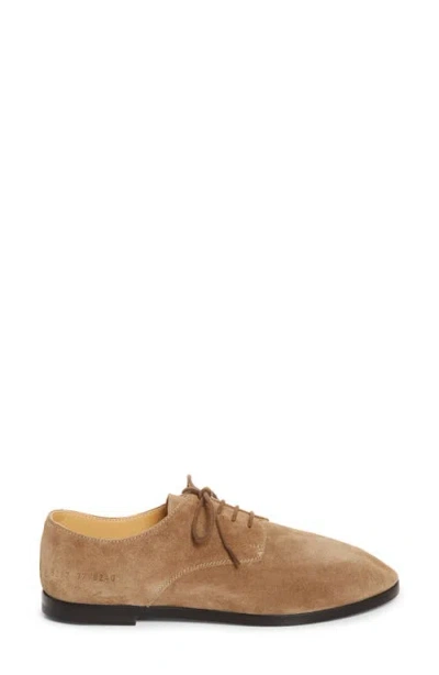 Common Projects Soft Plain Toe Derby In Brown