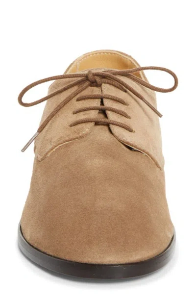 Common Projects Soft Plain Toe Derby In Brown
