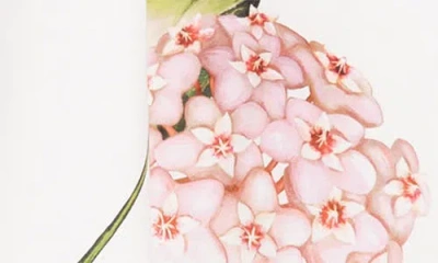 Oscar De La Renta Porcelain Flowers Stretch Cotton Poplin A-line Midi Skirt In White