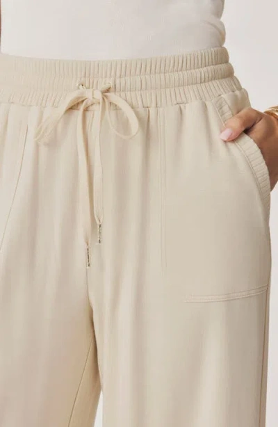 Splendid Jada Drawstring Pants In Neutral