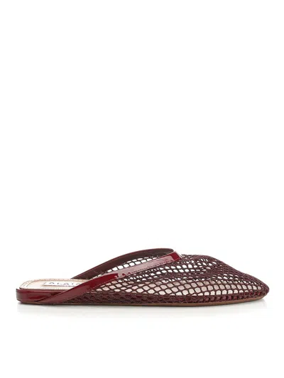 Alaïa Mesh Flat Mule Scarpe Basse Bordeaux In Multi