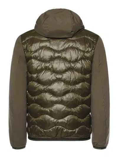 Blauer Padded Down Jacket With Logo In Multi