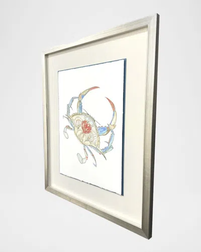 Paragon Decors Crab Celebration I Framed Giclee In Gray