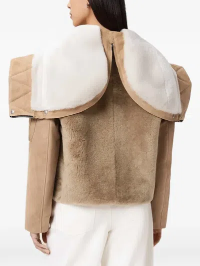 Allsaints Dexter Collared Shearling Jacket In Nude