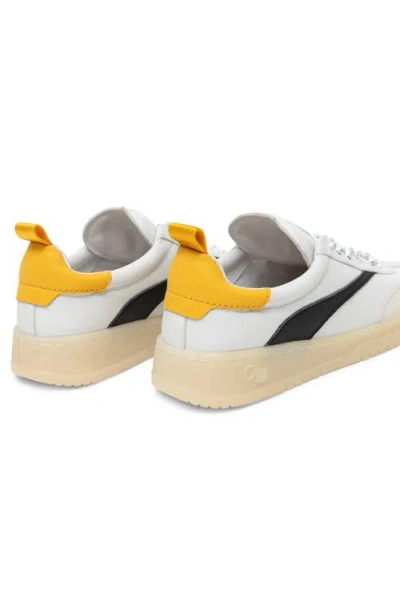 Oncept Panama Low Top Sneaker In Multi