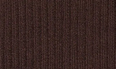 Nordstrom Ribbed Compression Socks In Brown