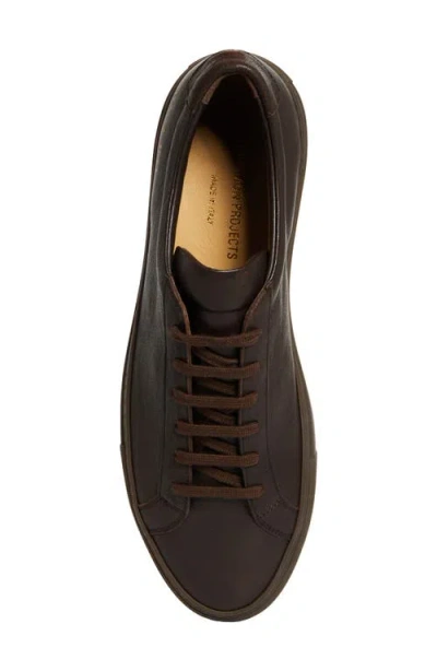 Common Projects Achilles Premium Sneaker In Brown