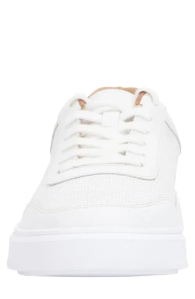 Andre Assous Andrew In White