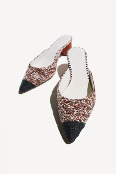 Amambaih Ines Mules In Multi