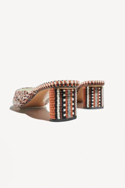 Amambaih Ines Mules In Multi