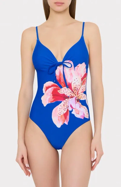 Milly Songe Diris One-piece Swimsuit In Multi