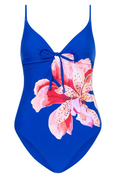Milly Songe Diris One-piece Swimsuit In Multi