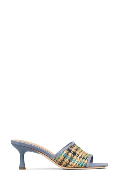 Donald Pliner Raffia Slide Sandal In Multi