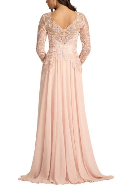 Tadashi Shoji Illusion Lace Embroidered Sleeve Gown In White