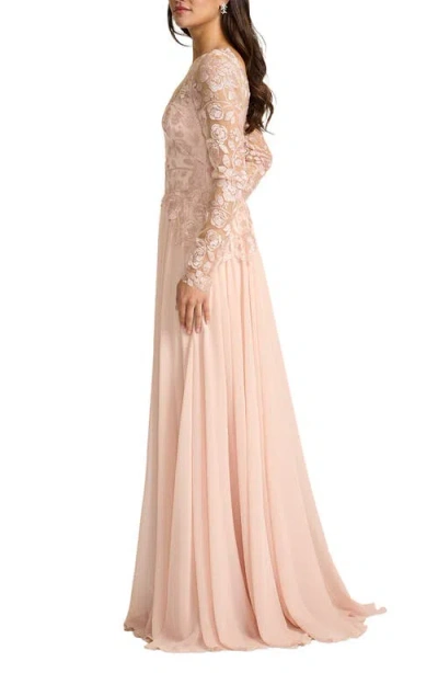 Tadashi Shoji Illusion Lace Embroidered Sleeve Gown In White