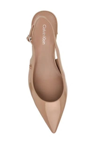 Calvin Klein Sarra Slingback Pointed Toe Pump In Multi
